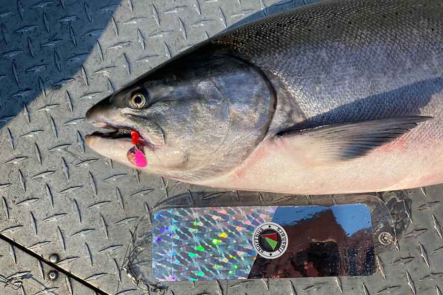 Best baits/lures For Oregon Sport Fishing - Portland Oregon Fishing  Adventures