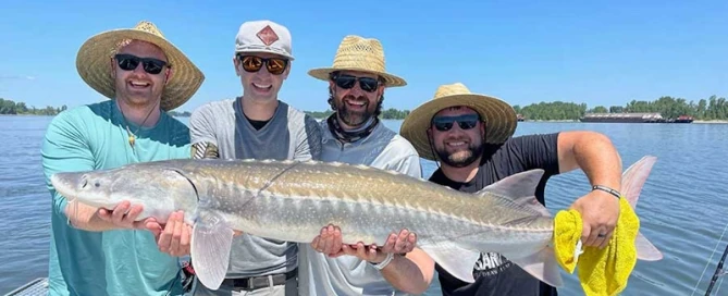 Four men on a boat holding a large fish during a sturgeon fishing on the columbia river