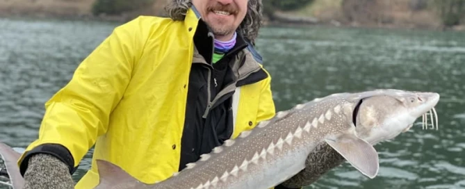 A man in a yellow jacket displays his catch from Oregon keeper sturgeon fishing